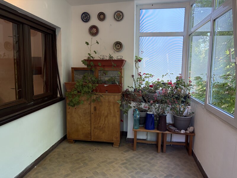 Cotroceni, Palat,